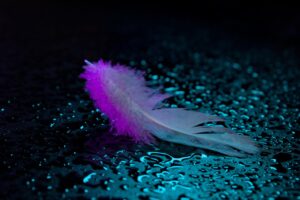 水濡れからカビを防ぐための効果的な対策は？