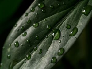 水濡れによるカビ対策にはどんな方法がある？