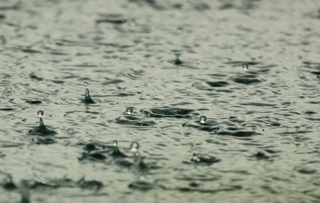 水濡れによるカビ対策に効果的な方法は？