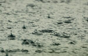 水濡れによるカビ対策に効果的な方法は？