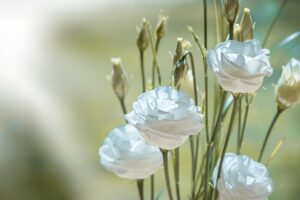 収録リストの高騰に対する今後の候補は？