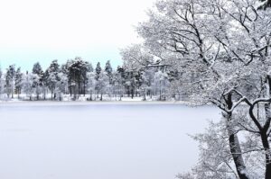ポケカの高騰予報はいつ発表されるのか？