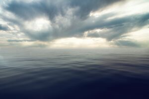 ポケカの高騰予報をまとめた最新情報は？