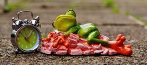 ポケカを売るための最適なタイミングとは？