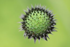 ポケカの再販を狙った投資のタイミングはいつがベスト？