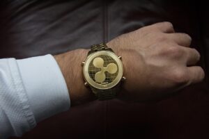 資産を増やすためのカード選び、ポケカの比較はどうする？